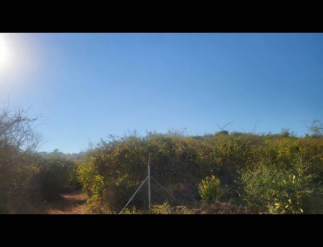 28HA VACANT LAND FOR SALE IN MANGONDI B